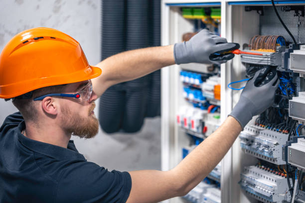 Best Electric Panel Repair  in Randleman, NC